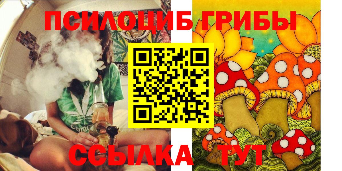 Псилоцибиновые грибы Psilocybine cubensis Шали