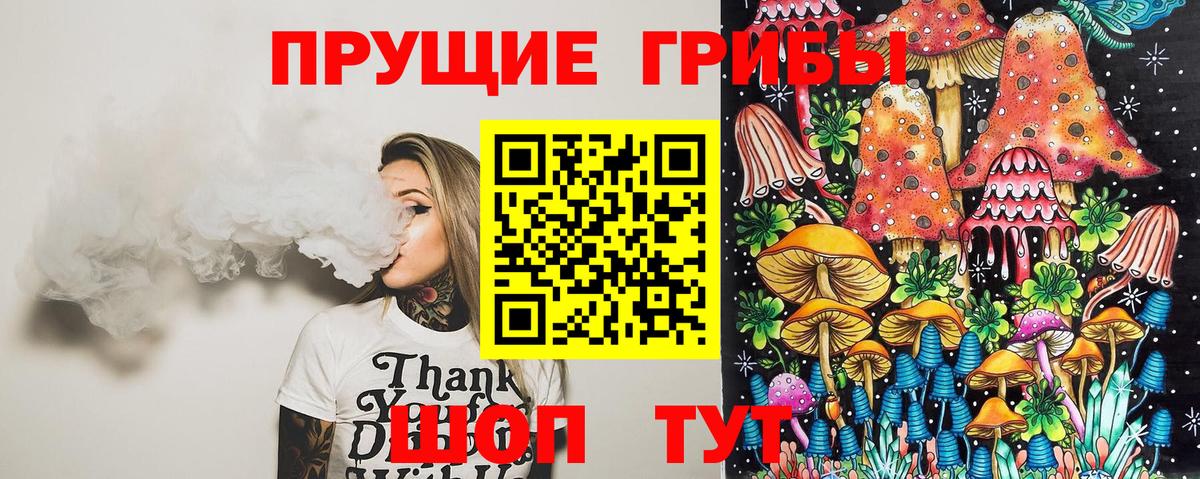 Псилоцибиновые грибы Cubensis  Вход с VPN  Шали 